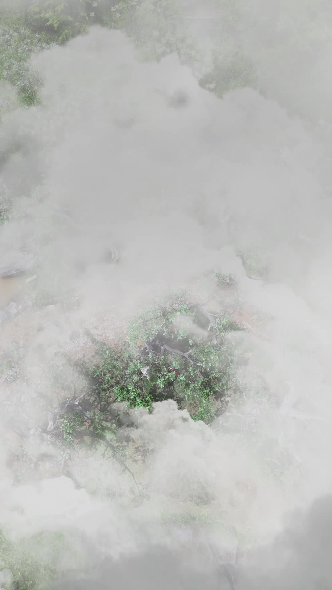 Episode 1 - Turunnya Dewa Nakal ke Dunia